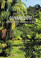 Guyane 2017, Chronologie d'un ras-le-bol