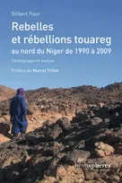 Rebelles et rébellions touareg, au nord du Niger de 1990 à 2009, Témoignages et analyse
