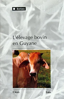 L'élevage bovin en Guyane, Une innovation majeure dans un milieu équatorial de plaine, 1975-1990