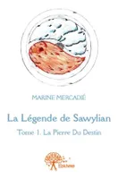 1, La Légende de Sawylian, Tome 1 : La Pierre Du Destin