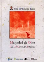 MERINDAD DE OLITE - VII. EL CERCO DE ARTAJONA