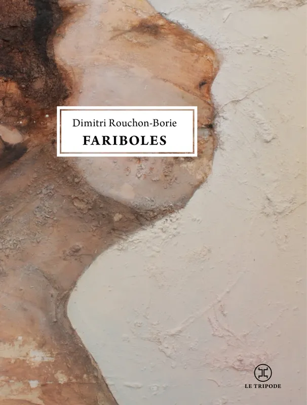 Livres Littérature et Essais littéraires Romans contemporains Francophones Fariboles Dimitri Rouchon-Borie