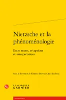Nietzsche et la phénoménologie, Entre textes, réceptions et interprétations