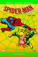 3, 1975-1976, Spider-Man Team-up: L'intégrale 1975-1976 (T26)