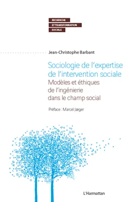 Sociologie de l'expertise de l'intervention sociale, Modèles et éthiques de l'ingénierie dans le champ social