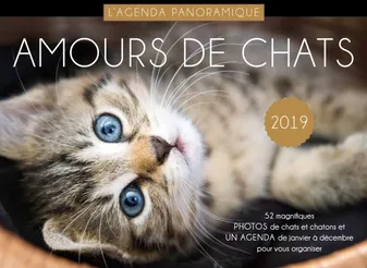 Agenda panoramique Amours de chats 2019