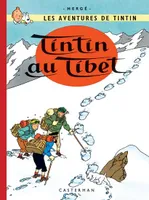 Les aventures de Tintin, 20, Tintin au Tibet