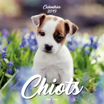 Calendrier mural Chiots 2019