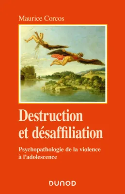 Destruction et désaffiliation, Psychopathologie de la violence à l'adolescence