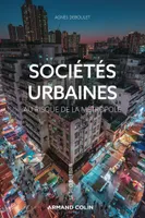 Sociétés urbaines, Au risque de la métropole