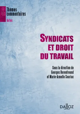SYNDICATS ET DROIT DU TRAVAIL - 1ERE EDITION - THEMES ET COMMENTAIRES, Thèmes et commentaires