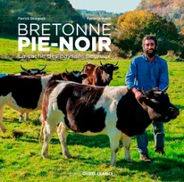 Bretonne Pie-Noir - La vache des paysans heureux