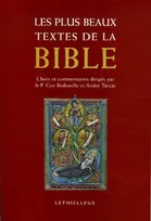 PLUS BEAUX TEXTES DE LA BIBLE (LES), choix et commentaires de passages de l'Ancien Testament