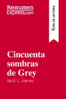 Cincuenta sombras de Grey de E. L. James (Guía de lectura), Resumen y análisis completo