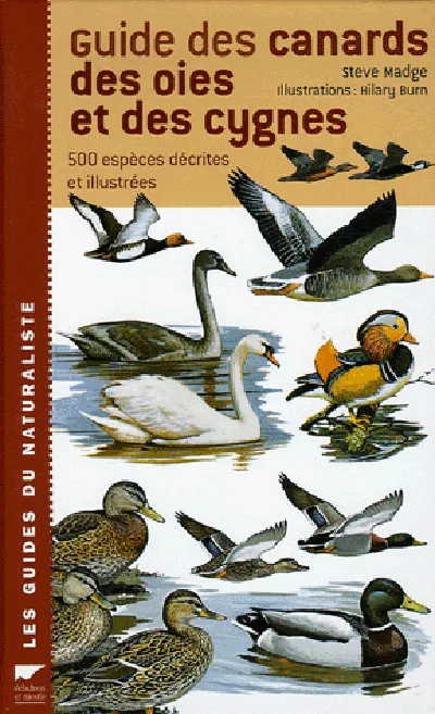 Livres Écologie et nature Nature Faune Guide des canards, des oies et des cygnes, 500 espèces décrites et illustrées Hilary Burn, Steve Madge