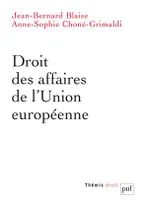 DROIT DES AFFAIRES DE L'UNION EUROPEENNE