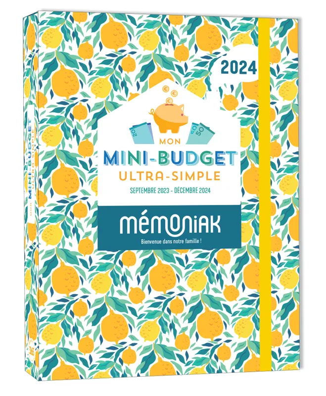 Mon mini-budget ultra-simple Mémoniak 2024, sept. 2023- déc 2024 - XXX -  Librairie Le Forum du Livre