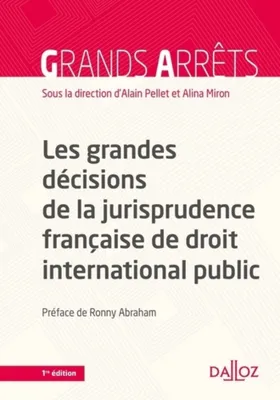 Les grandes décisions de la jurisprudence française de DIPublic