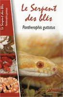 Le Serpent des Blés, Pantherophis Guttatus