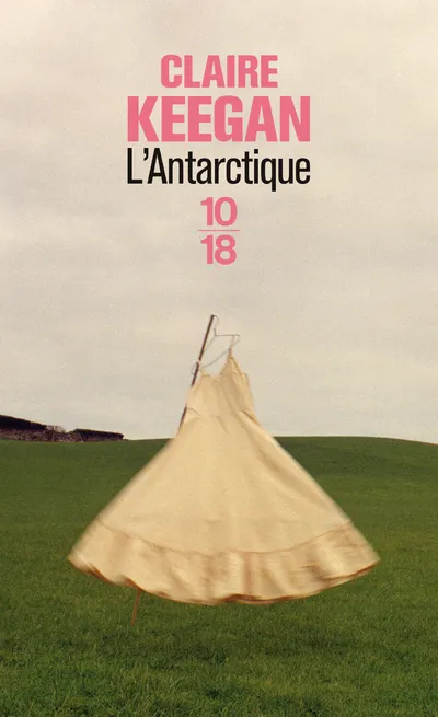 Livres Littérature et Essais littéraires Romans contemporains Etranger L'Antarctique, nouvelles Claire Keegan