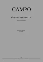 Concerto pour violon, Violon et ensemble instrumental
