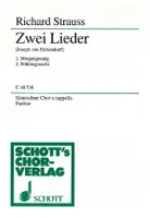 Zwei Lieder, for mixed chorus a cappella. o. Op. AV. 25. mixed choir (SATB). Partition de chœur.