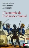 Economie de l'esclavage colonial