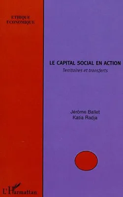 Le capital social en action, Territoires et transferts