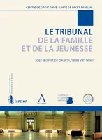 Le Tribunal de la Famille et de la Jeunesse, Un point sur la réforme du droit familial belge