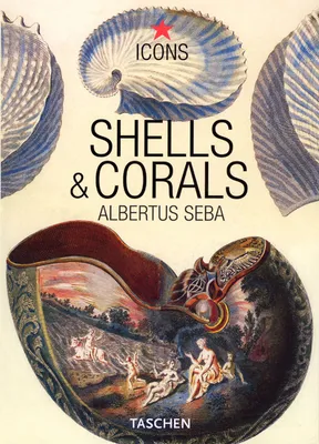 Shells & corals, PO