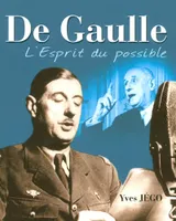 De Gaulle, l'esprit du possible
