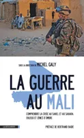 La guerre au Mali, Comprendre la crise au Sahel et au Sahara : enjeux et zones d'ombre