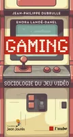 Gaming, Sociologie du jeu vidéo