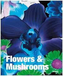 Flowers & Mushrooms /anglais