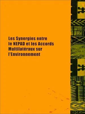 Les synergies entre le NEPAD et les accords multilatéraux sur l'environnement