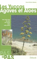 Les yuccas, agaves et aloès - une ambiance de bout du monde dans le jardin, une ambiance de bout du monde dans le jardin