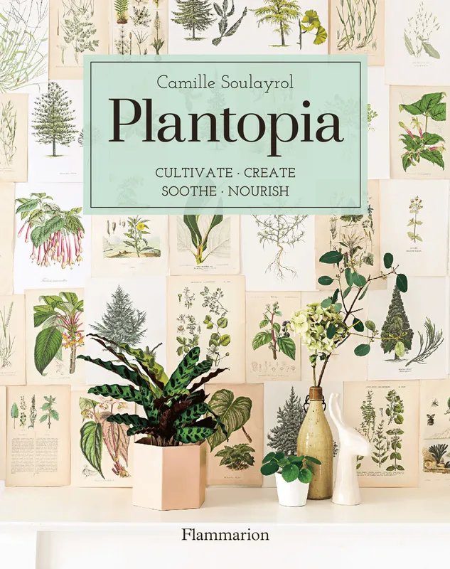 Plantopia Camille Soulayrol