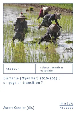 Birmanie, Myanmar, 2010-2017, un pays en transition ?, Un pays en transition ?