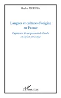Langues et cultures d'origine en France, Expérience d'enseignement de l'arabe en région parisienne