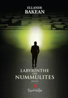 Labyrinthe des nummulites, Roman