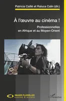 À l'oeuvre au cinéma !, Professionnelles en afrique et au moyen-orient