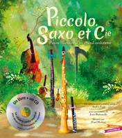 Piccolo, Saxo et Cie, Petite histoire d'un grand orchestre
