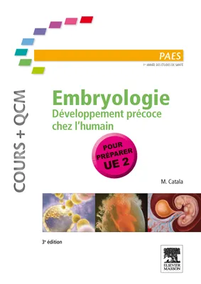 Embryologie, Développement précoce chez l'humain