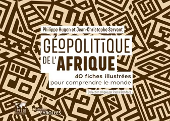 Géopolitique de l'Afrique, 40 fiches illustrées pour comprendre le monde