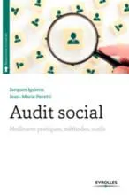 Audit social, Meilleures pratiques, méthodes, outils