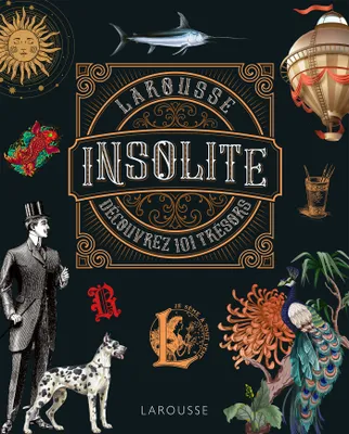 L'insolite, Dictionnaire en images
