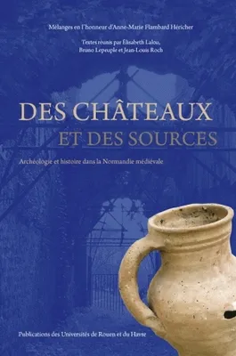 Des châteaux et des sources, Archéologie et histoire dans la Normandie médiévale. Mélanges en l'honneur d'Anne-Marie Flambard Héricher