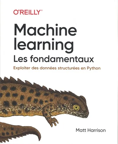 Livres Informatique Machine learning : les fondamentaux - Exploiter des données structurées en Python Matt Harrison