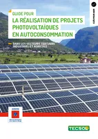 Guide pour la réalisation de projets photovoltaïques en autoconsommation, Secteurs tertiaire industriel et agricole