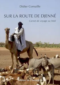 Sur la route de djenne, carnet de voyage au Mali